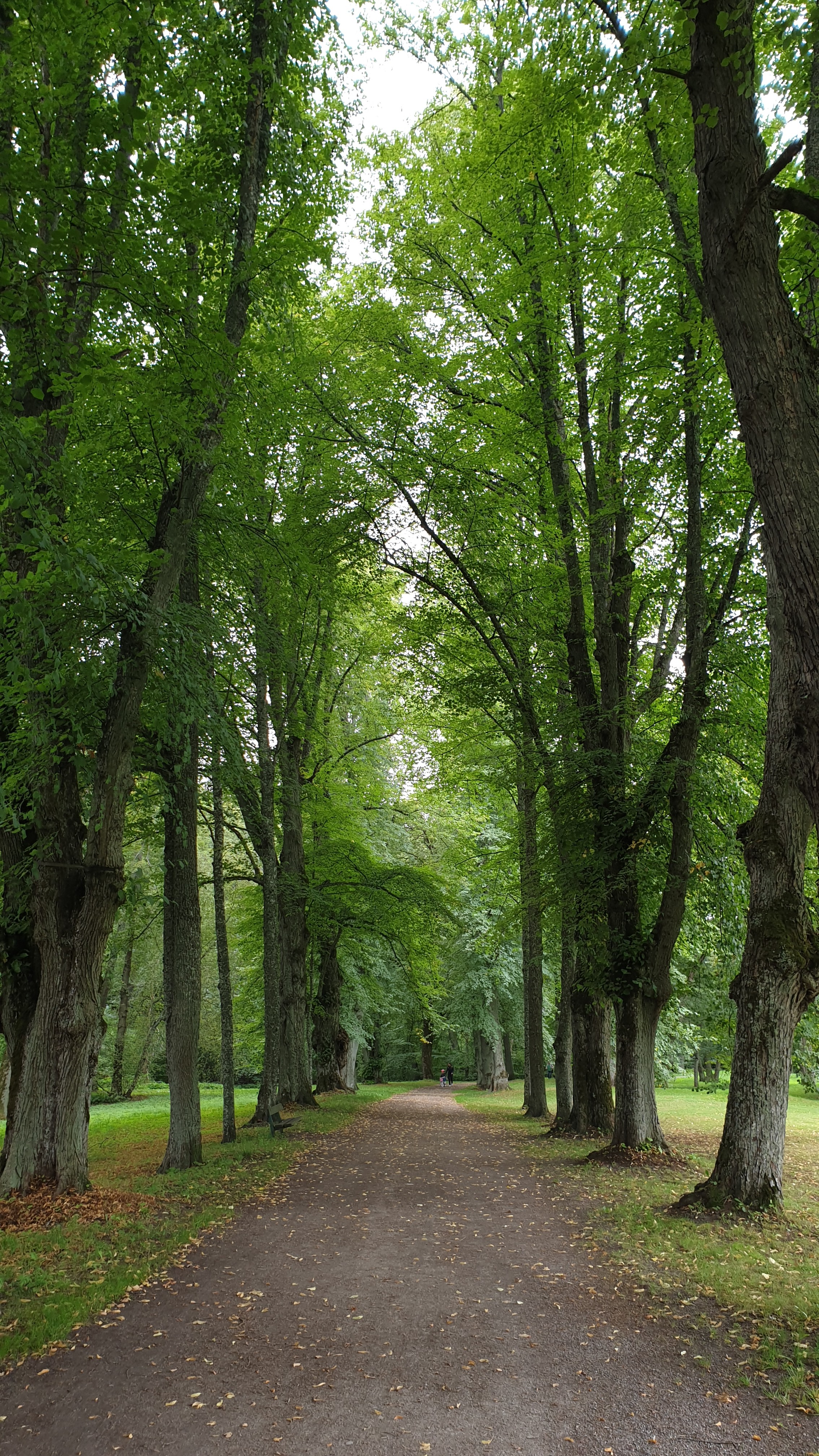 MediYoga och Mindfulness